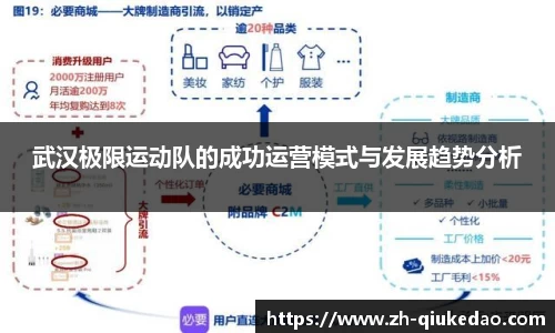 武汉极限运动队的成功运营模式与发展趋势分析